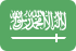 Envía SMS masivos a ARABIA SAUDí